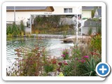 Biopiscine Baignade 2